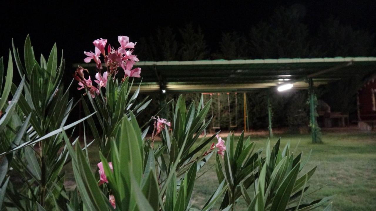 Finca Entrevinedos De Bodegas Marcos Peñafiel Eksteriør bilde